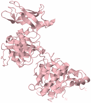 Image Biological Unit 3