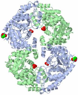 Image Biological Unit 1