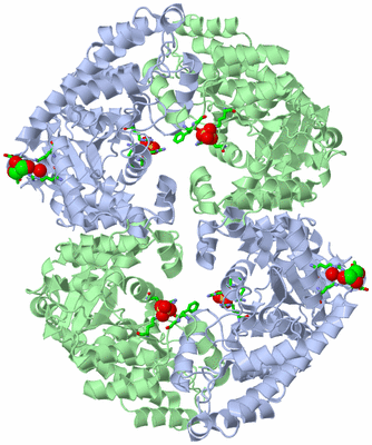 Image Biol. Unit 1 - sites