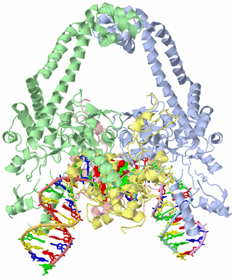 Image Asym./Biol. Unit