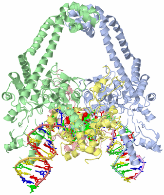 Image Asym./Biol. Unit - sites