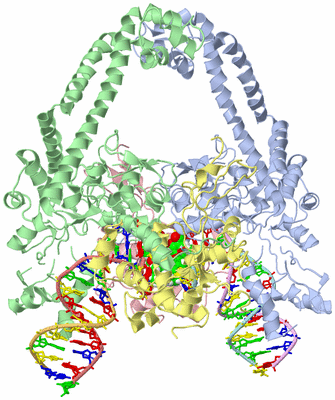 Image Asym./Biol. Unit