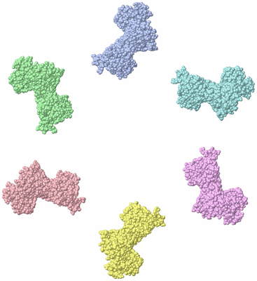 Image Asym./Biol. Unit