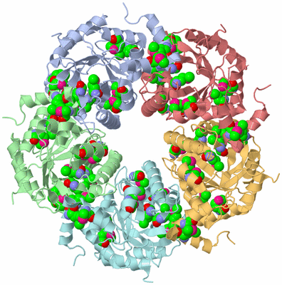 Image Biological Unit 1