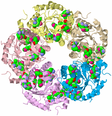 Image Biological Unit 2