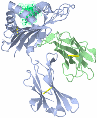 Image Biological Unit 1