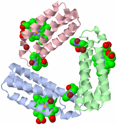 Image Biological Unit 1