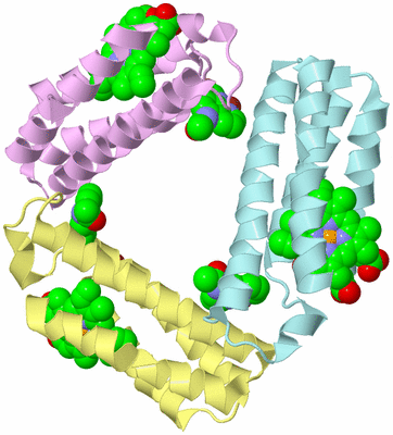 Image Biological Unit 2