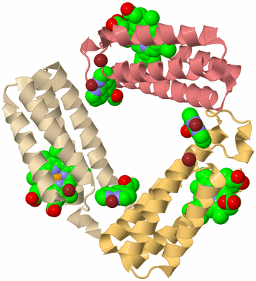 Image Biological Unit 3