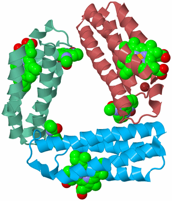 Image Biological Unit 4