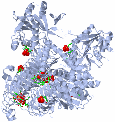 Image Biol. Unit 1 - sites