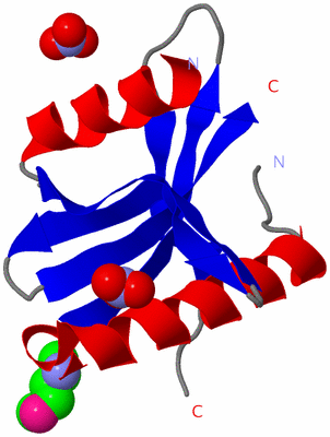 Image Asymmetric Unit