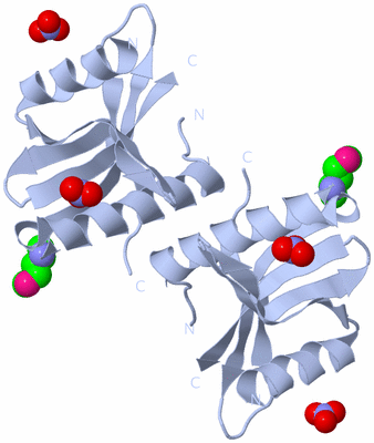 Image Biological Unit 1