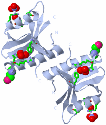 Image Biol. Unit 1 - sites