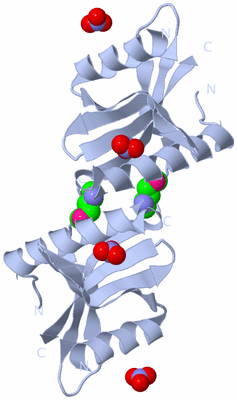 Image Biological Unit 2