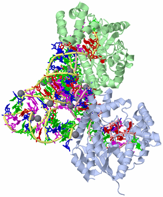 Image Asym./Biol. Unit