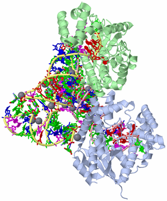 Image Asym./Biol. Unit - sites