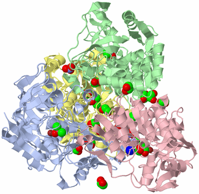 Image Asym./Biol. Unit