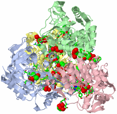 Image Asym./Biol. Unit - sites