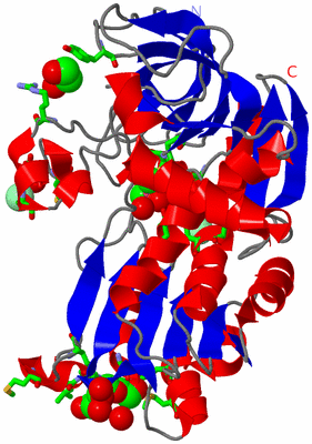 Image Asym. Unit - sites