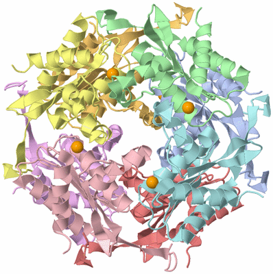 Image Asym./Biol. Unit