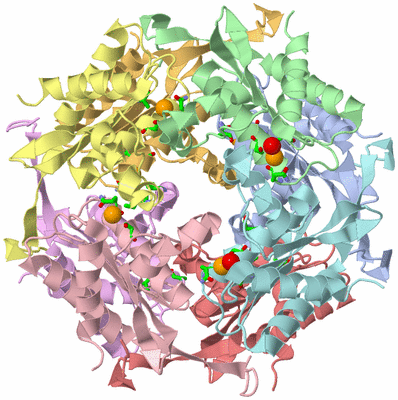 Image Asym./Biol. Unit - sites