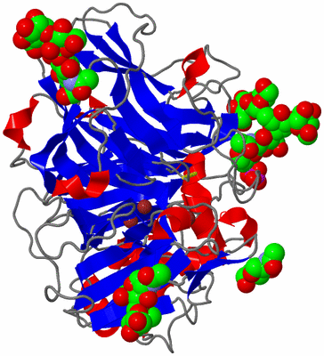 Image Asym./Biol. Unit