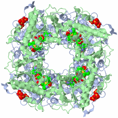 Image Biological Unit 1