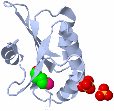 Image Biological Unit 1