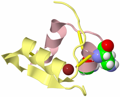 Image Biological Unit 2