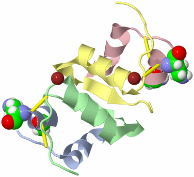 Image Biological Unit 3