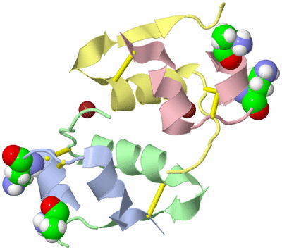 Image Biological Unit 4