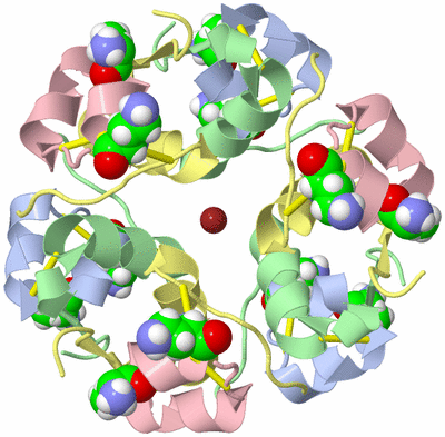 Image Biological Unit 5