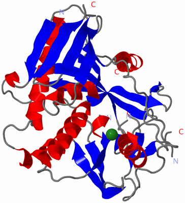 Image Asym./Biol. Unit