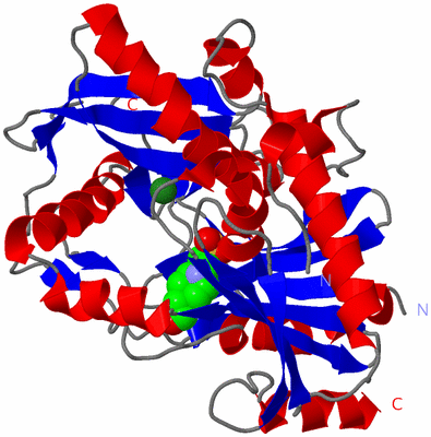 Image Asym./Biol. Unit