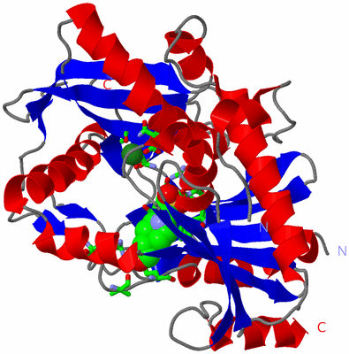 Image Asym./Biol. Unit - sites