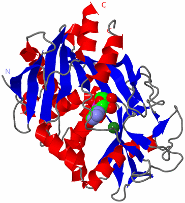 Image Asym./Biol. Unit