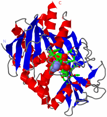 Image Asym./Biol. Unit - sites