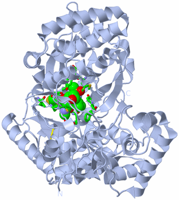 Image Biol. Unit 1 - sites