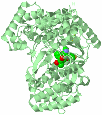 Image Biological Unit 2