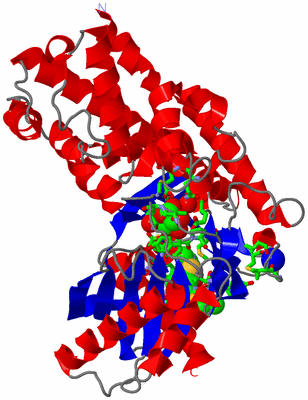 Image Asym./Biol. Unit - sites