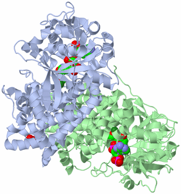 Image Asym./Biol. Unit