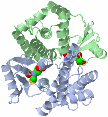 Image Asym./Biol. Unit