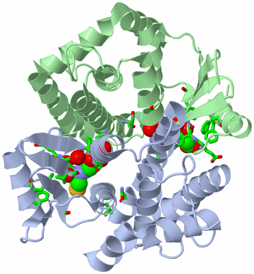 Image Asym./Biol. Unit - sites