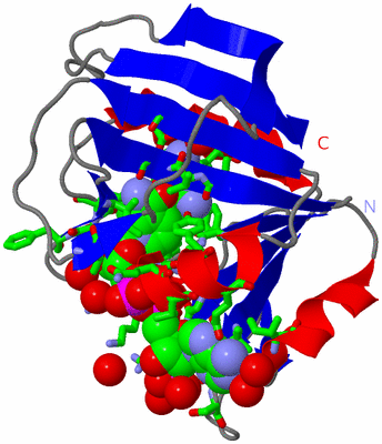 Image Asym./Biol. Unit - sites