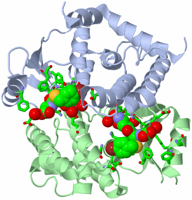 Image Asym./Biol. Unit - sites