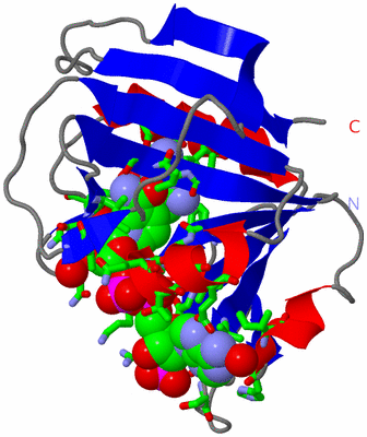 Image Asym./Biol. Unit - sites