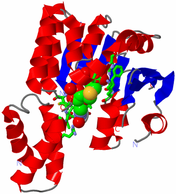 Image Asym./Biol. Unit - sites