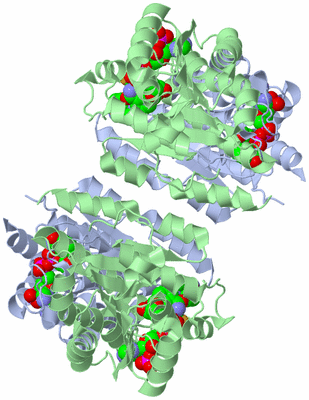 Image Biological Unit 1