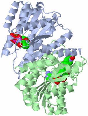 Image Biological Unit 2